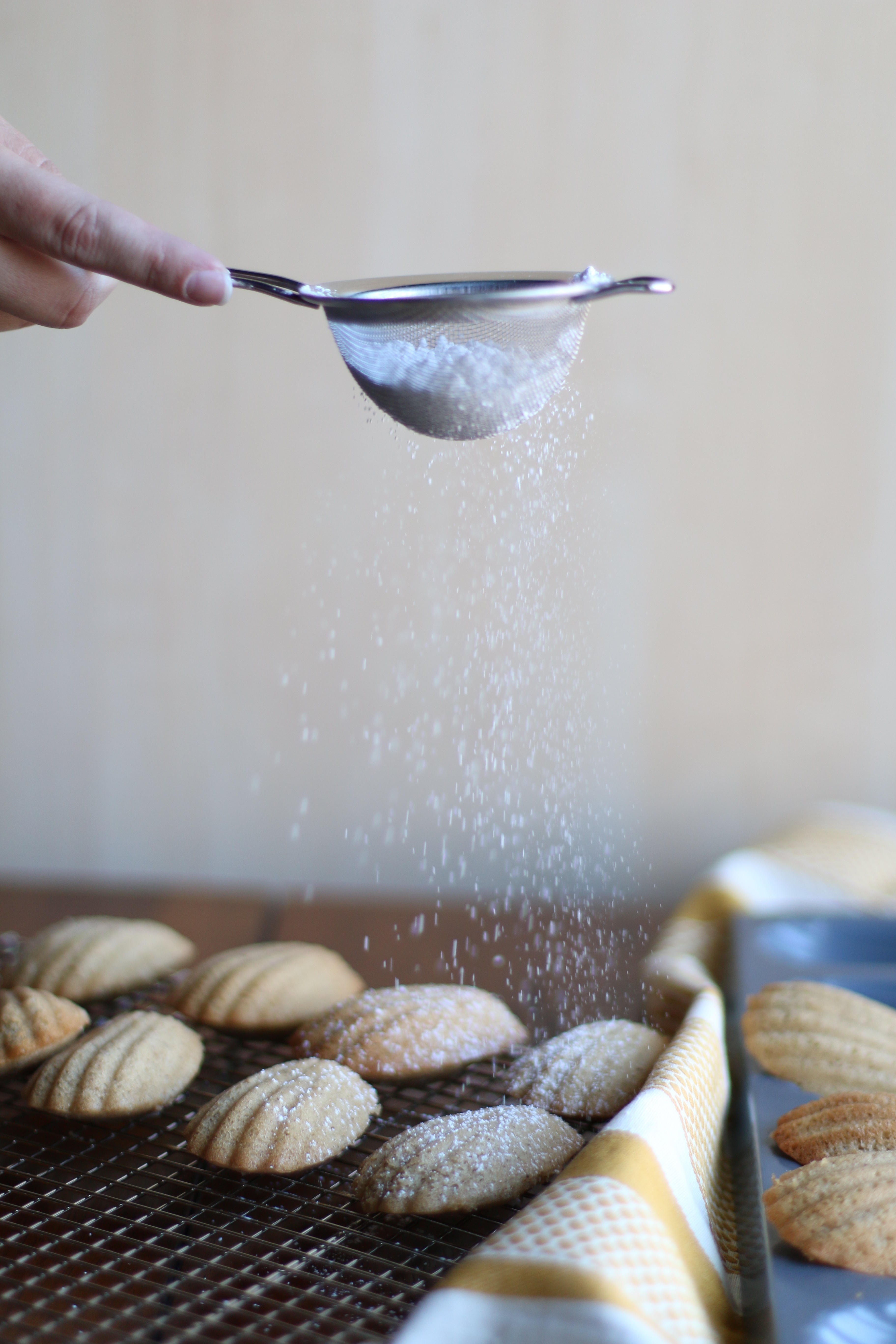 Spiced Madeleines Recipe