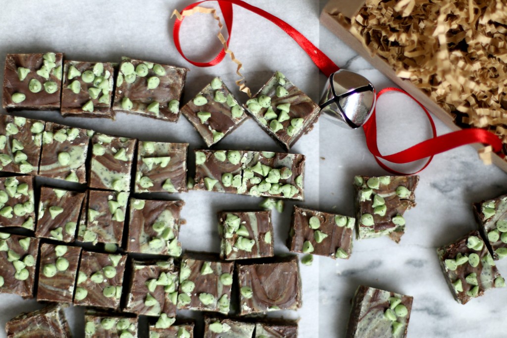 mint chip chocolate fudge recipe