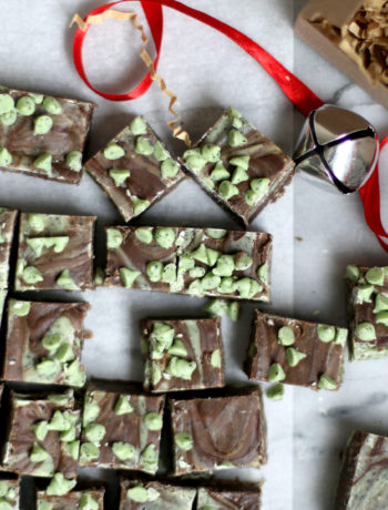 mint chip chocolate fudge recipe