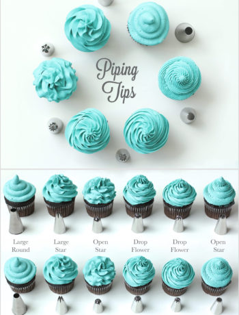 Everything You Need To Know About Piping Tips