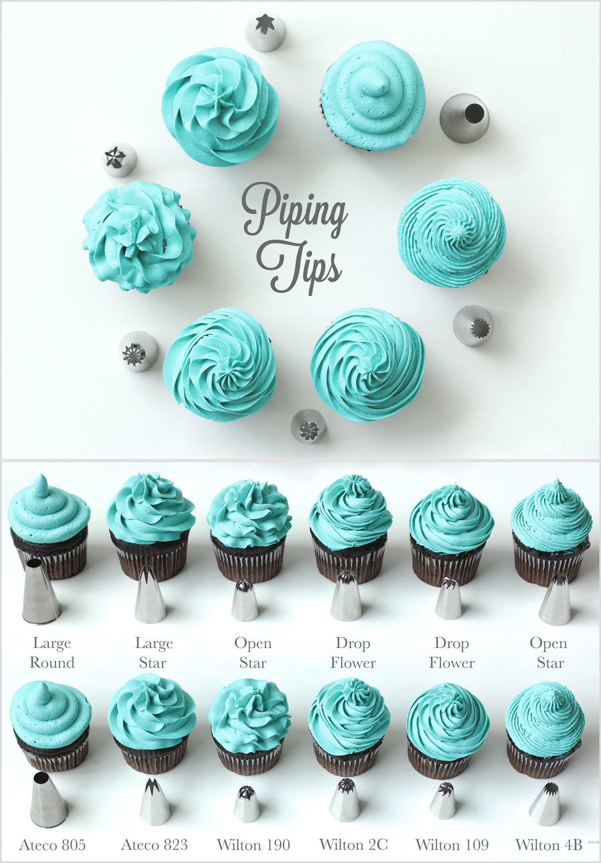 20 best cake decorating piping tips for perfect designs