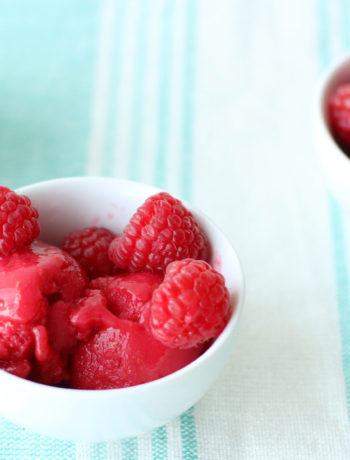 Raspberry Peach Sorbet