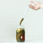 NorPro Deluxe Pickle Pincher