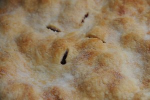 Jeff's Strawberry Rhubarb Pie