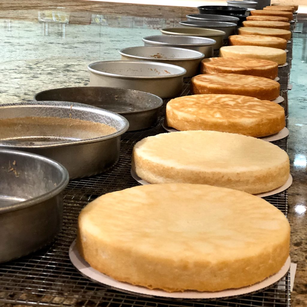 Line up of cakes baked in the Cake Pan Showdown.