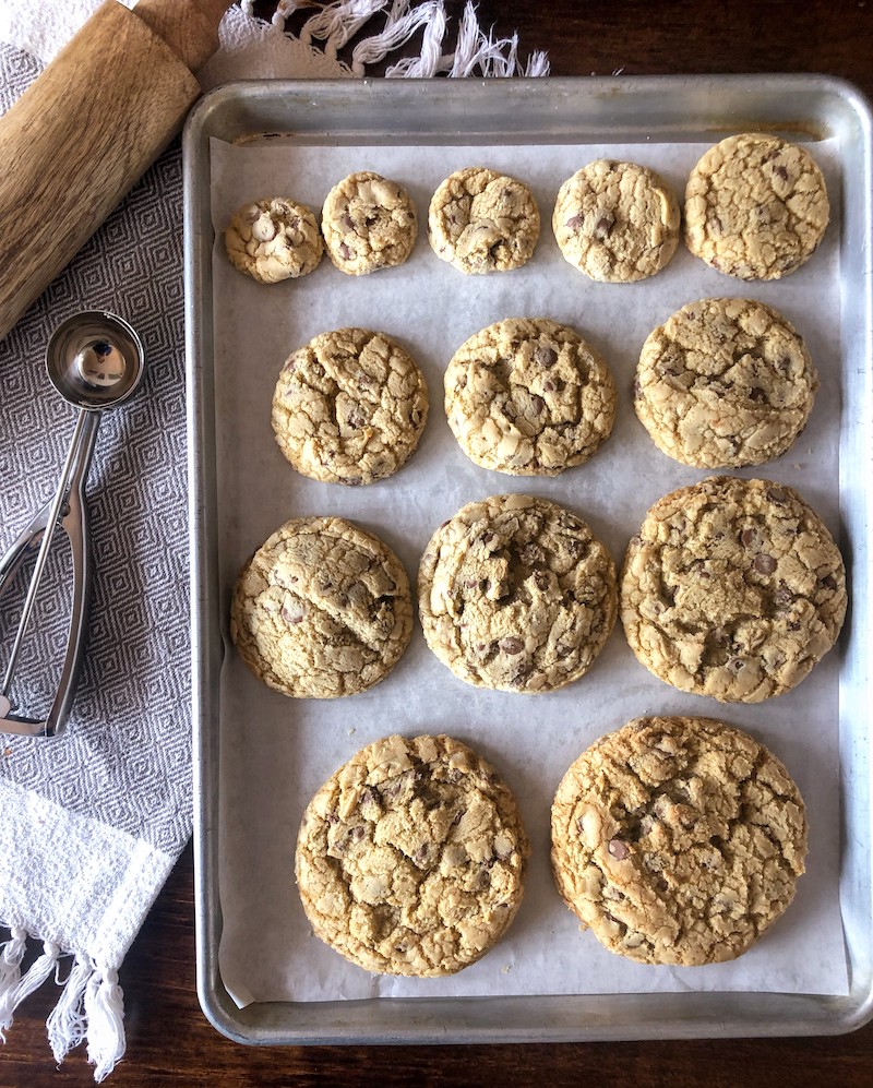 Sheet pan with thirteen cookies of different size. Each cookie was made with a different sized food disher or cookie scoop.