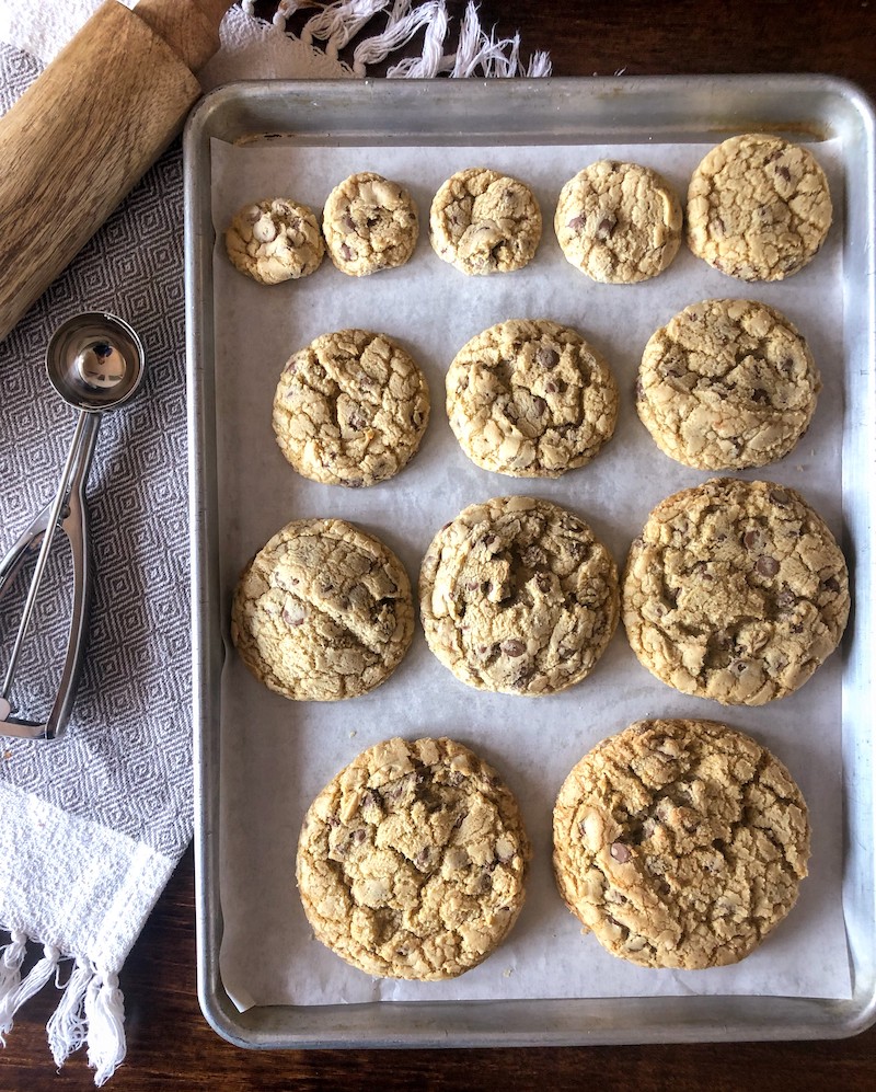 Sheet pan with thirteen cookies of different size. Each cookie was made with a different sized food disher or cookie scoop. 