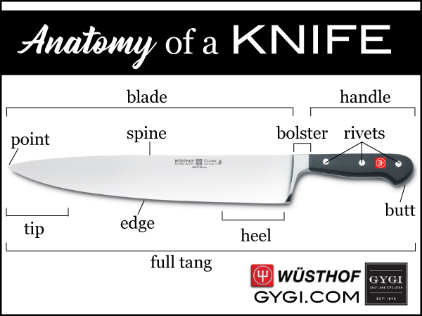 The anatomy of a knife