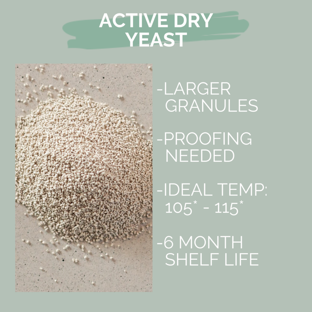 active yeast has larger granules, requires proofing, works in ideal temps of 105 degrees to 115 degrees, and has a 6 month shelf life