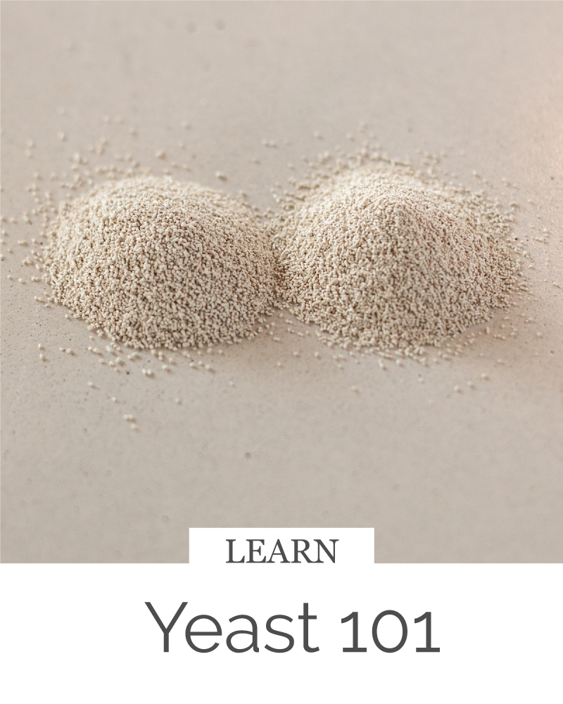 Yeast 101