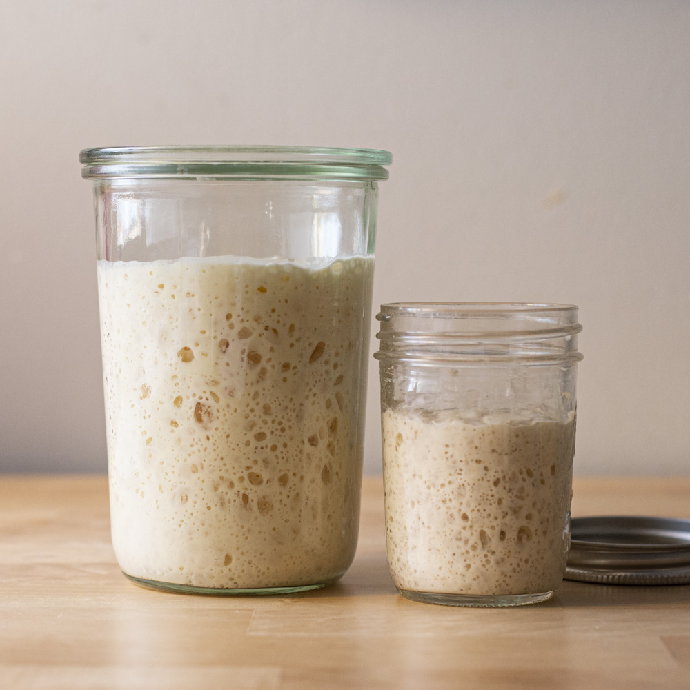 building a levain