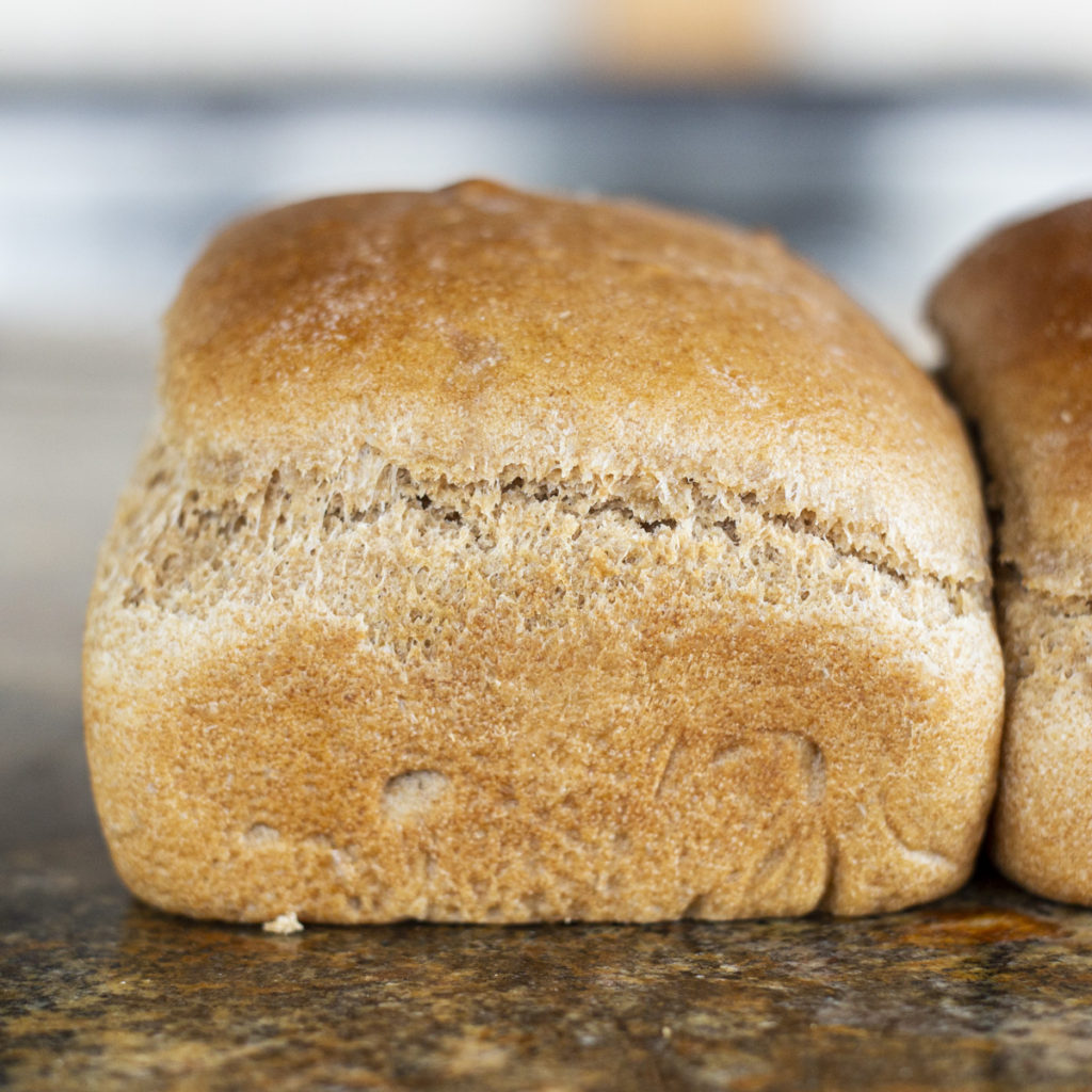 kitchenaid sandwich bread exterior