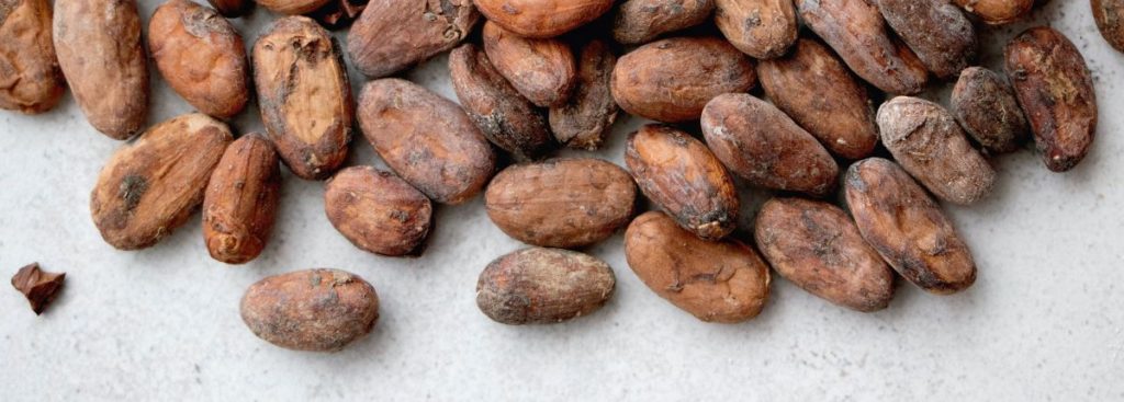 cocoa beans