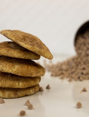 cinnamon chip snickerdoodles