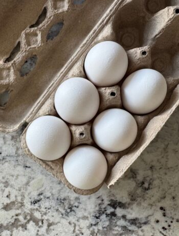 half empty paper carton of white eggs
